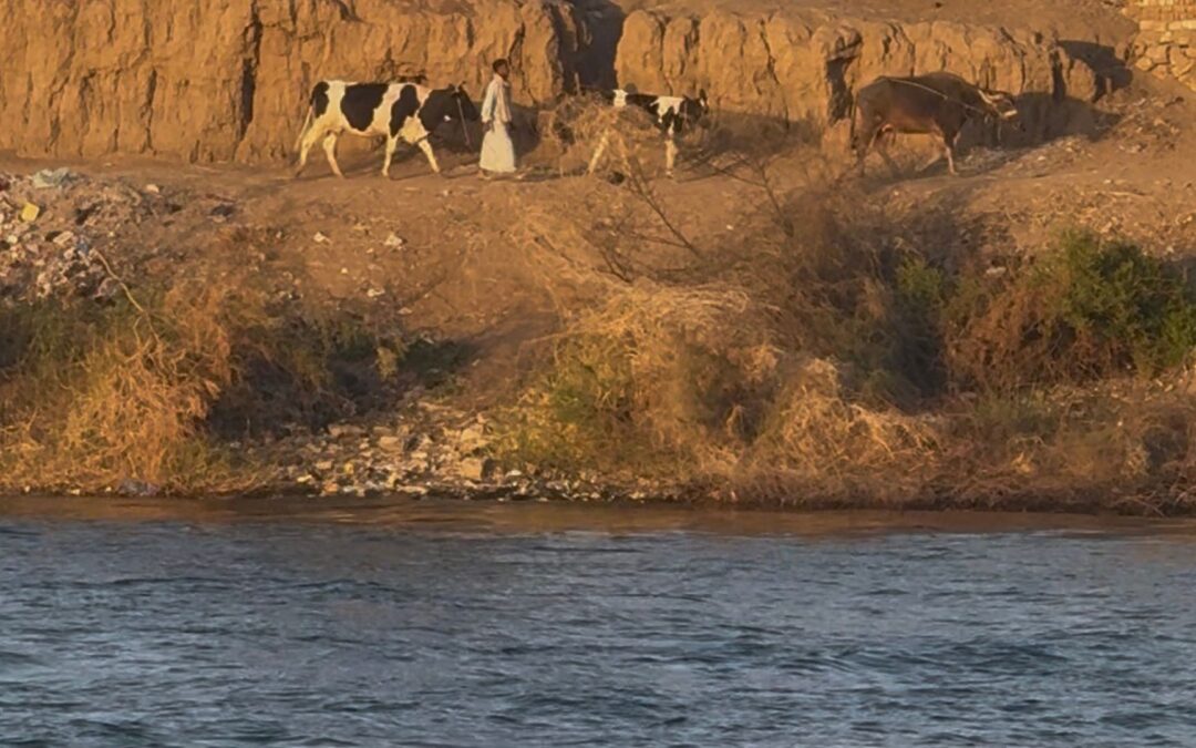 Depth Over Speed: Making Space For Wisdom. 