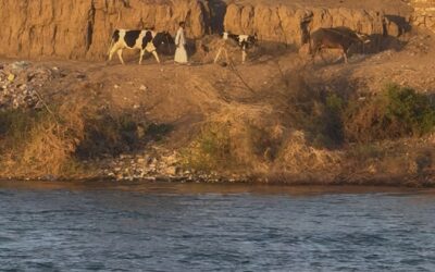 Depth Over Speed: Making Space For Wisdom.