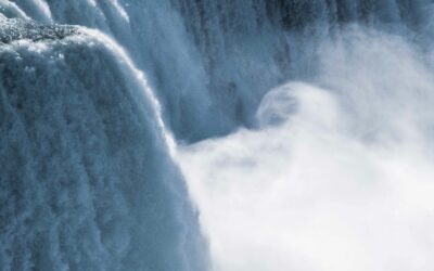 When Fear Becomes Fatal