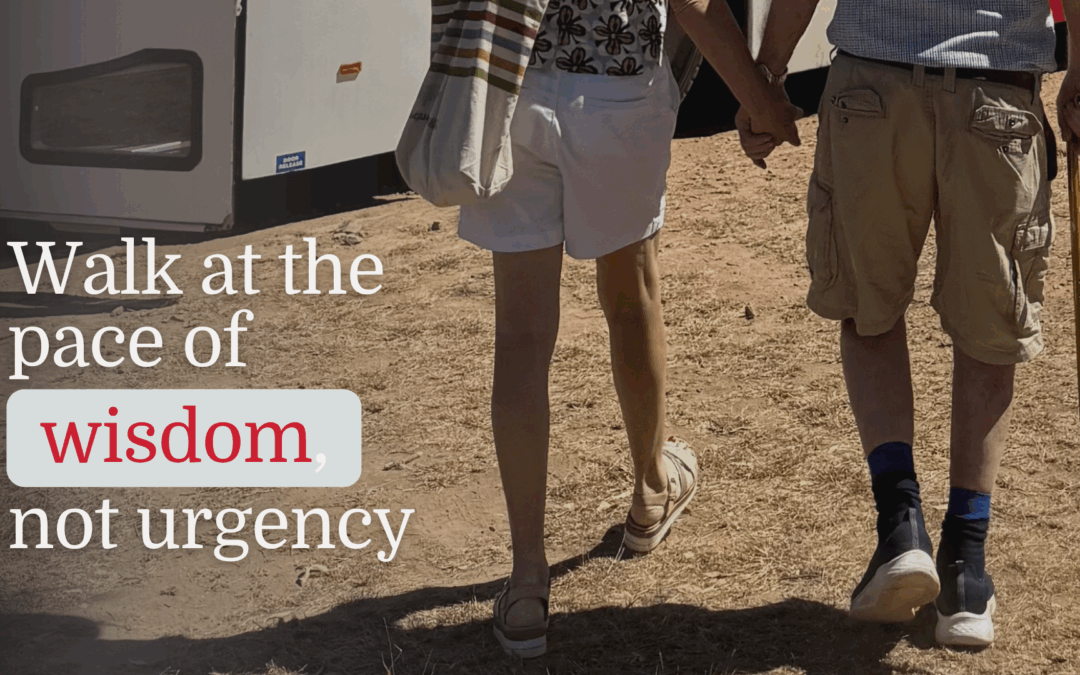 As the world speeds up, walk at the pace of wisdom, not urgency