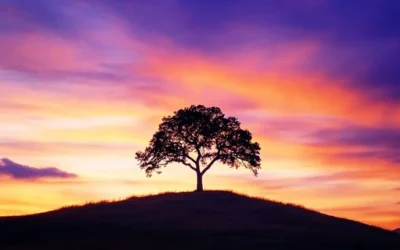 Hope is a risk that must be run.